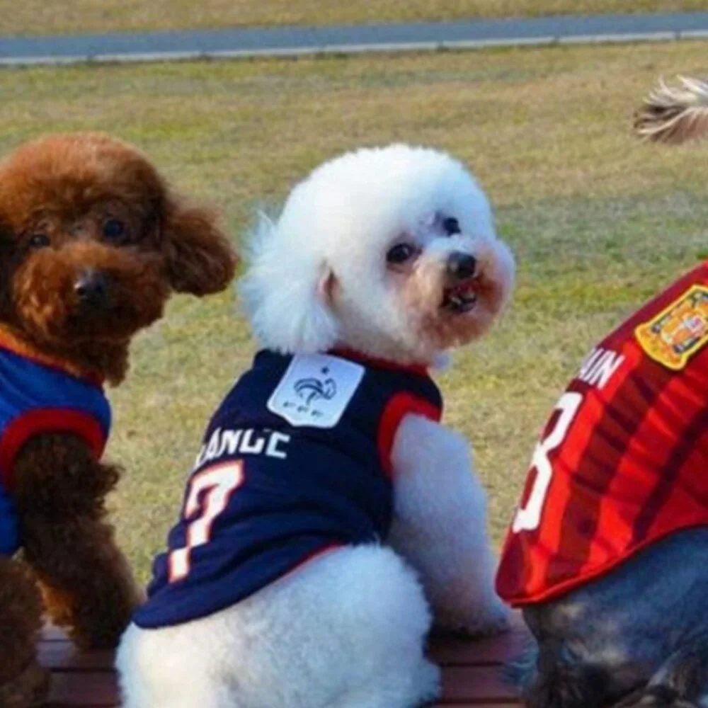 France Dog Soccer Jersey